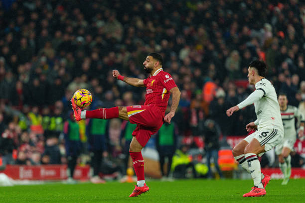 球大家庭的 球大家庭的